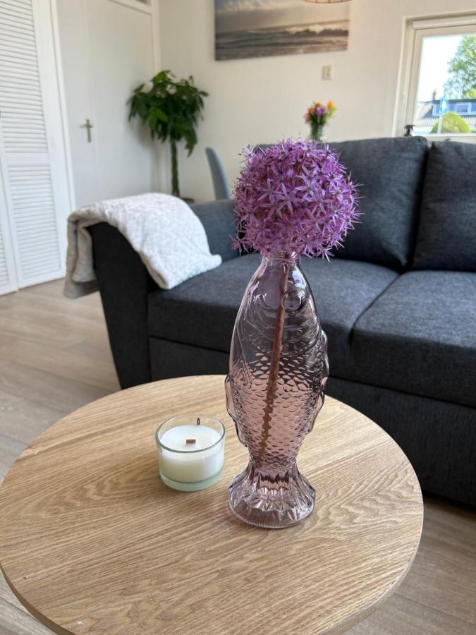 Amsterdam Beach Apartment 17, Incl Parking + Garden Zandvoort Kültér fotó