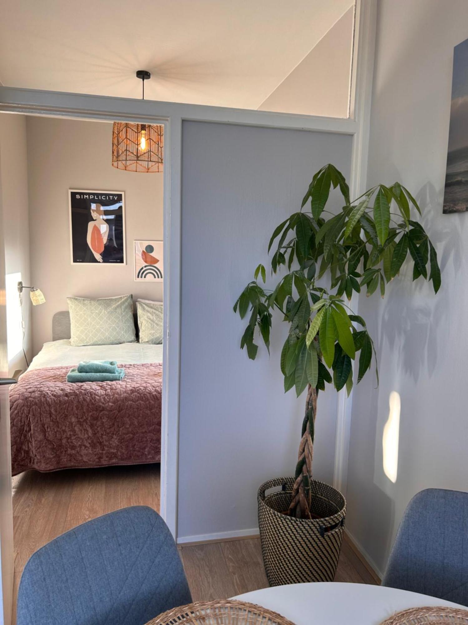 Amsterdam Beach Apartment 17, Incl Parking + Garden Zandvoort Kültér fotó